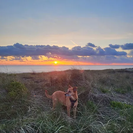 度假居 De Duinen 海边的艾格蒙特