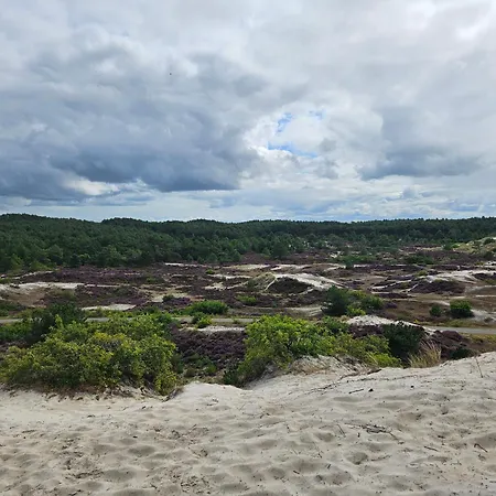 度假居 De Duinen 海边的艾格蒙特