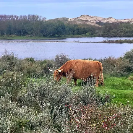 Vakantiehuis De Duinen *